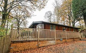 Tree View Lodge